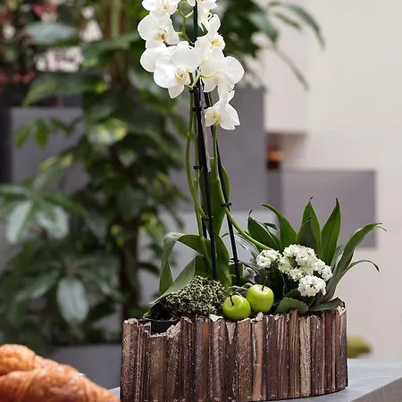 Hotel Western Escapade Senlis (Oise)