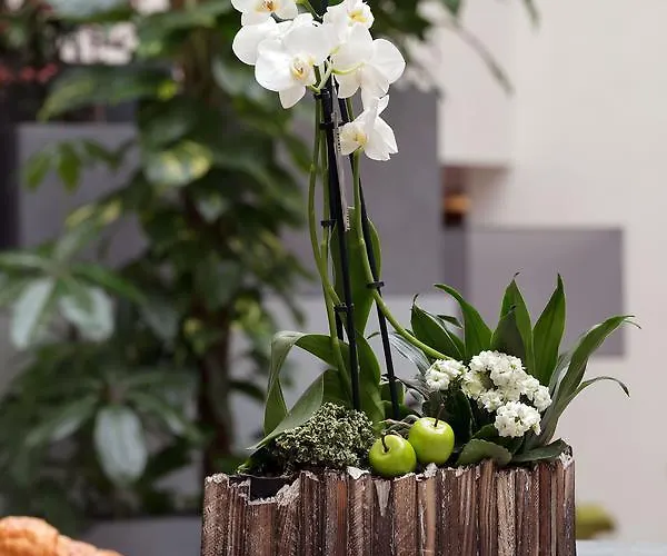 Hotel Western Escapade Senlis (Oise)